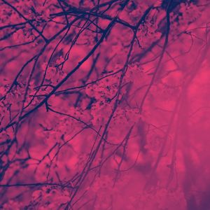 柔和的城市共鸣时刻