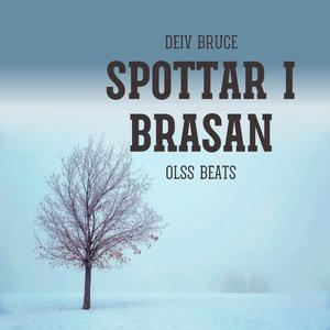 Spottar I Brasan