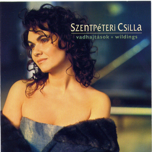 Vihar (Vivaldi témájára) - Storm / The Four Seasons - Summer [Theme of Vivaldi]