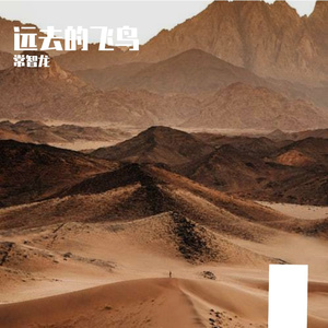 8。远去的飞鸟