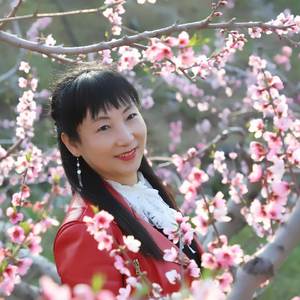 李子红了 (舞曲)