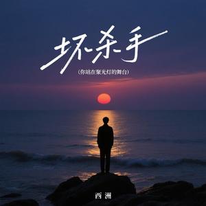 坏杀手 (你站在聚光灯的舞台)