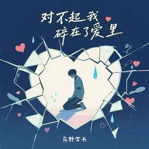 对不起我碎在了爱里