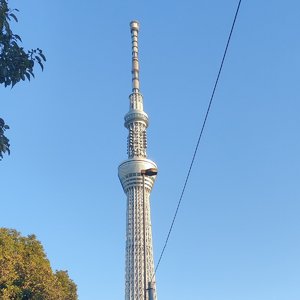 你的上好佳-异人disco-土匪（小土匪 remix）