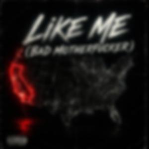Like Me (Bad Mother****er)