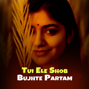 Tui Ele Shob Bujhte Partam