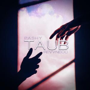 TAUB (feat. Revvnecc)