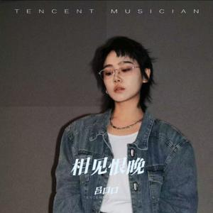 相见恨晚 (DJ豪大大版)