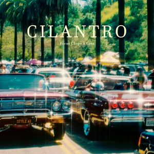 Cilantro