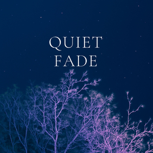 Velvet Fade