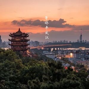 等你来武汉
