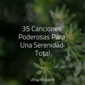 Dulces Interrogantes