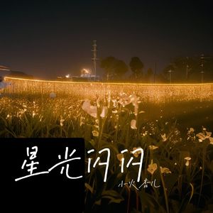 星光闪闪