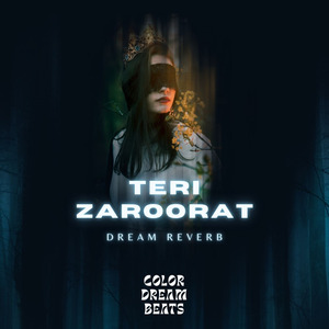 Teri Zaroorat