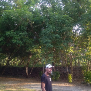 Don't Want to Let You Go