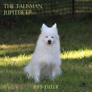 Afternoon Brake Failure