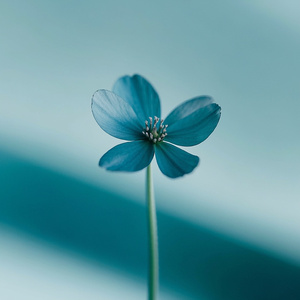 beautiful for everything