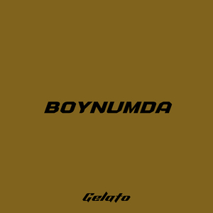 Boynumda