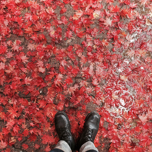 너를 떠나보내고