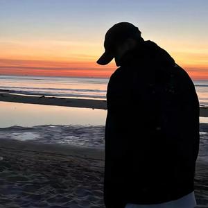 小Q-ReMix 凌冬下的梧桐树