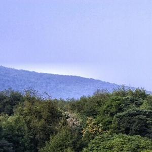 漂洋过海来看你