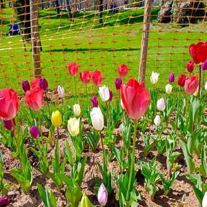 Yanlış Yerdesin