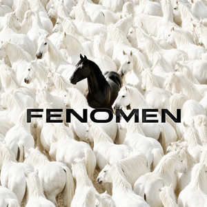FENOMEN