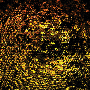 N-Coded Structure 557 (Reverse Engineering EDIT)