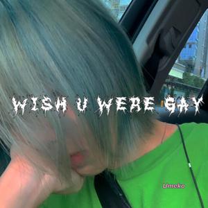 Wish you were gay 米线cover（翻自 Billie Eilish）