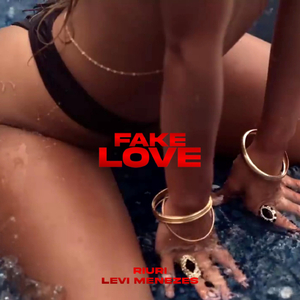 Fake Love