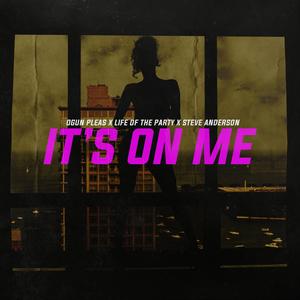 It's On Me (feat. Steve Anderson & Life Of The Party)
