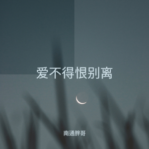 爱不得恨别离 (伴奏)