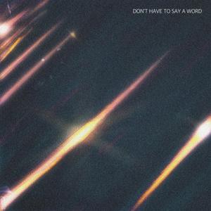 Don't Have to Say a Word