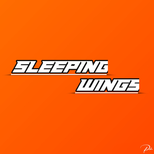 Sleeping Wings