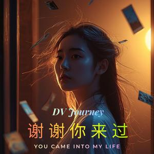 谢谢你来过 (You Were Once Mine)