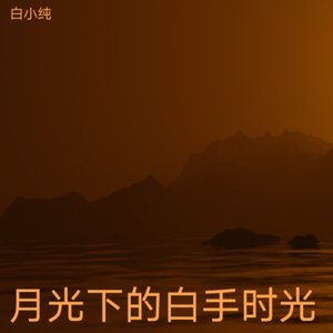 月光下的白手时光