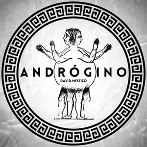 Andrógino