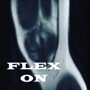 FLEX ON (Prod. by 百川)