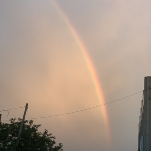 因为你我才敢当个弱者