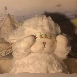 阳光彩虹小白马