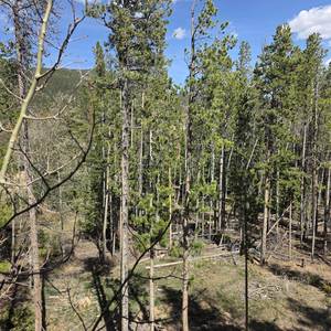 Another Bloodline Sunrise (Other)