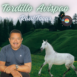 Tordillo Avispao