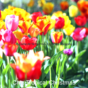 (Good King Wenceslas) Tropical Christmas