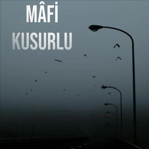 Kusurlu