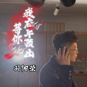 孙阳荣-我在平顶山等你