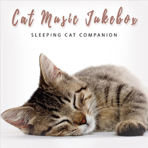 Purrrfect Sleep