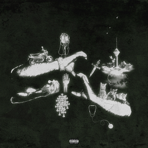 Sepide Dam Freestyle