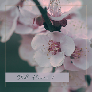 Contaminacion (Remastered)