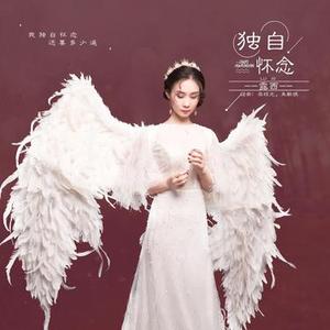 独自怀念  (0.9x)