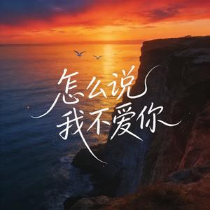 怎么说我不爱你